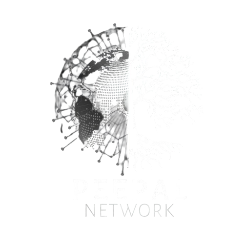 social media marketing services Delhi